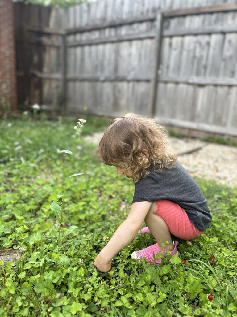 A young girl bends to pick a mock strawberry.