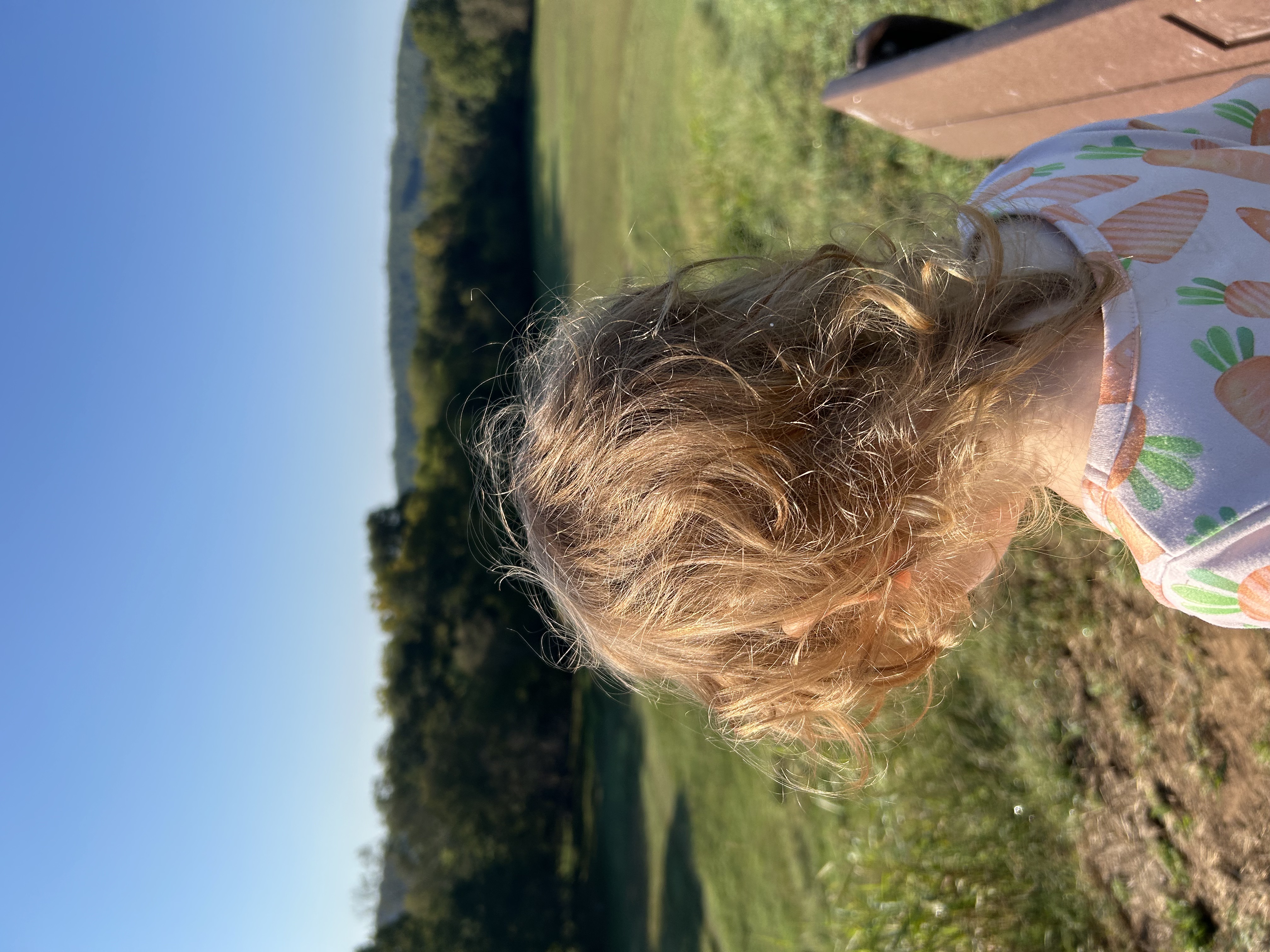 The back of a small girl's head looking down over a green field.